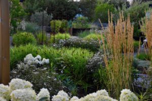 Trädgårdsdesign av trädgårdsarkitekt