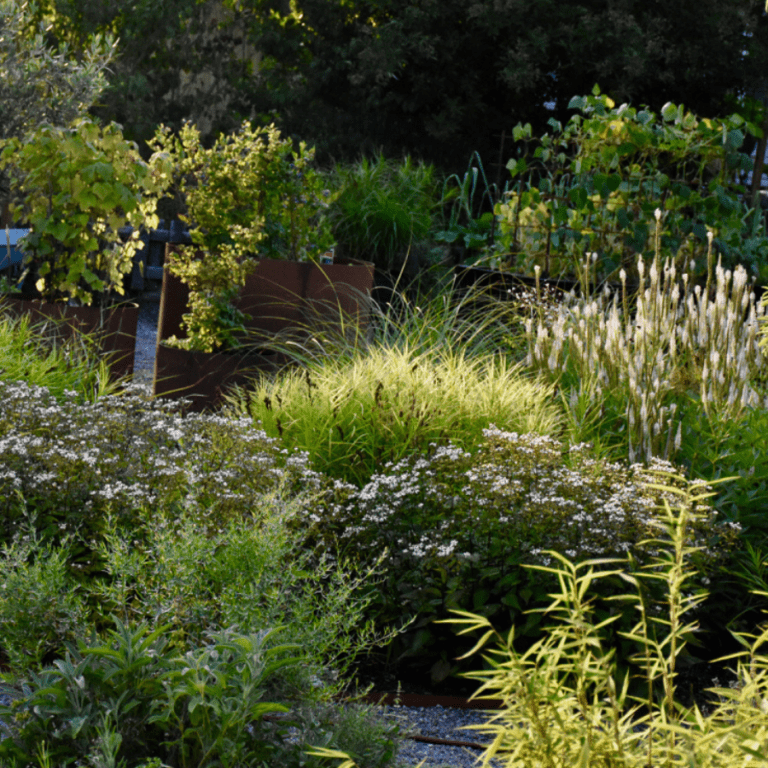 Växtbädd men stora sjok av samma växter i augusti
